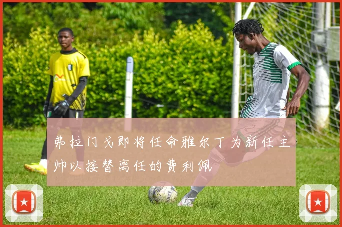 弗拉门戈即将任命雅尔丁为新任主帅以接替离任的费利佩