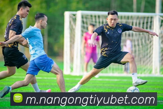 南宫体育APP 封面图